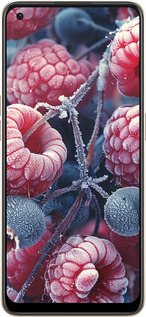 Силиконовый чехол Морозные ягоды для Oppo Reno8 5G - 6033u-2614 изображение 