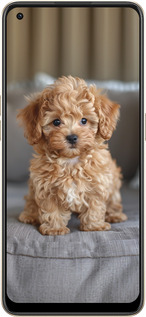 Силиконовый чехол Mini-maltipoo для Oppo Reno8 5G - 6158u-2614 изображение 