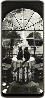 Силиконовый чехол Череп и коты для Oppo Reno8 5G - 6432u-2614 изображение 