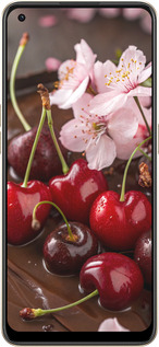 Силиконовый чехол Вишня в шоколаде для Oppo Reno8 5G - 6698u-2614 изображение 