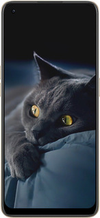 Силіконовий чехол Димчастий кіт для Oppo Reno8 5G - 825u-2614 изображение 