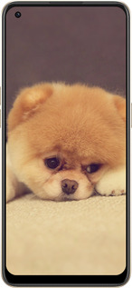 Силіконовий чехол Boo 2 для Oppo Reno8 5G - 890u-2614 изображение 