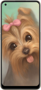 Силиконовый чехол Нарисованный йоркширский терьер для Oppo Reno8 5G - 928u-2614 изображение 