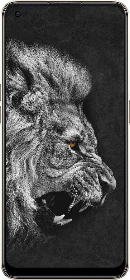 Силиконовый чехол Лев для Oppo Reno8 5G - 1080u-2614 изображение 