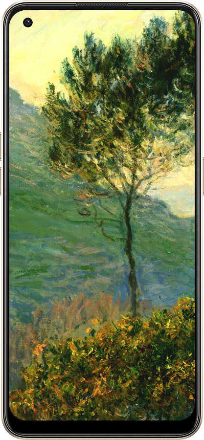 Силиконовый чехол Клод Моне для Oppo Reno8 5G - 1193u-2614 изображение 