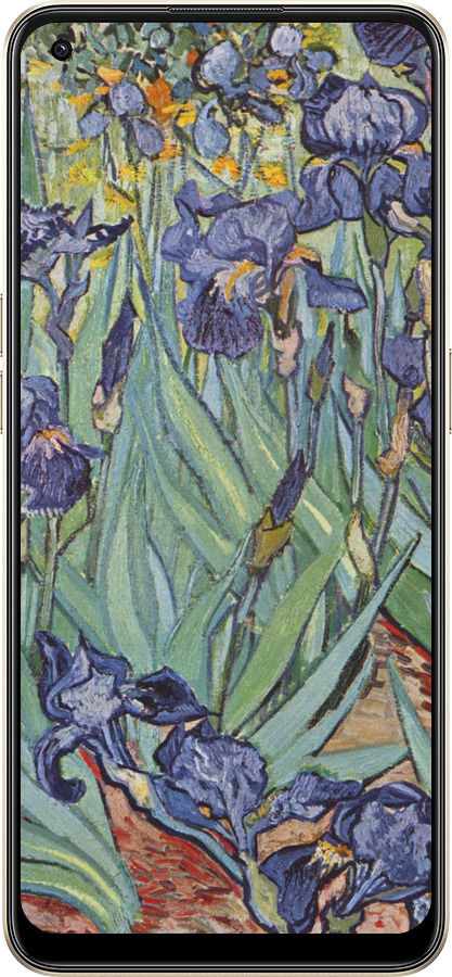 Силиконовый чехол Винсент Ван Гог. Ирисы для Oppo Reno8 5G - 161u-2614 изображение 