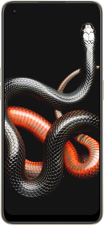 Силиконовый чехол Красно-черная змея на черном фоне для Oppo Reno8 5G - 4063u-2614 изображение 