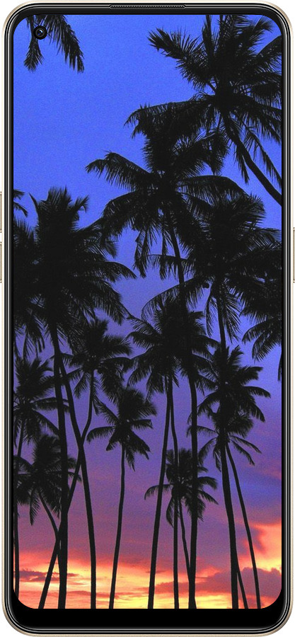 Силіконовий чехол Пальми для Oppo Reno8 5G - 4324u-2614 изображение 