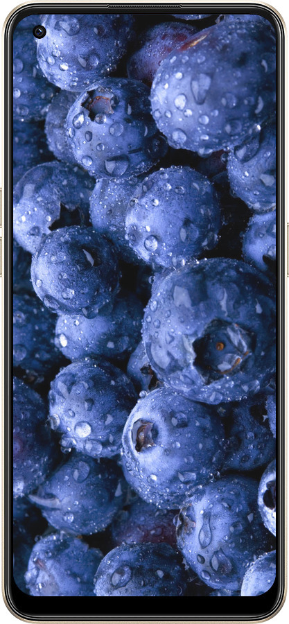 Силиконовый чехол Голубика для Oppo Reno8 5G - 4459u-2614 изображение 