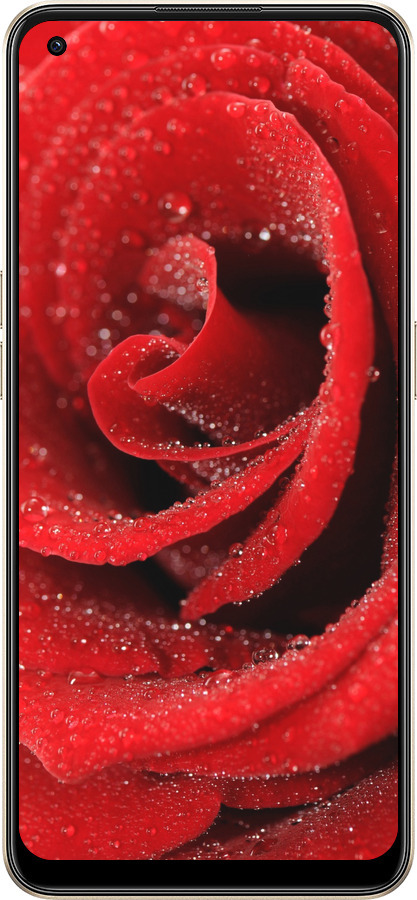 Силиконовый чехол Красная роза для Oppo Reno8 5G - 529u-2614 изображение 