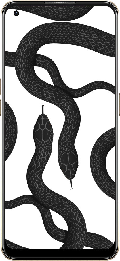 Силиконовый чехол Змеи для Oppo Reno8 5G - 5473u-2614 изображение 