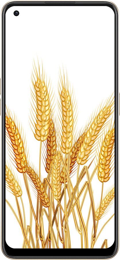 Силиконовый чехол Колоски пшеници для Oppo Reno8 5G - 5866u-2614 изображение 