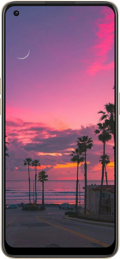 Силиконовый чехол Пальмы для Oppo Reno8 5G - 5873u-2614 изображение 