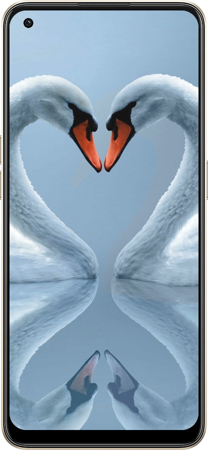 Силиконовый чехол Лебеди для Oppo Reno8 5G - 6007u-2614 изображение 