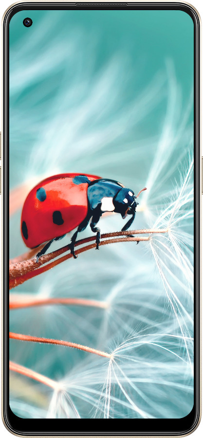 Силиконовый чехол Божья коровка для Oppo Reno8 5G - 6049u-2614 изображение 