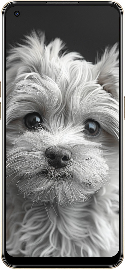 Силиконовый чехол Мальтипу на чорном фоне для Oppo Reno8 5G - 6156u-2614 изображение 