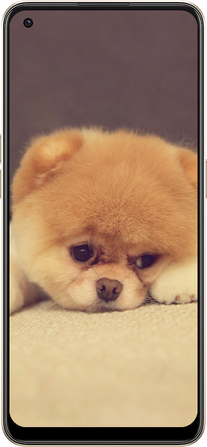 Силіконовий чехол Boo 2 для Oppo Reno8 5G - 890u-2614 изображение 