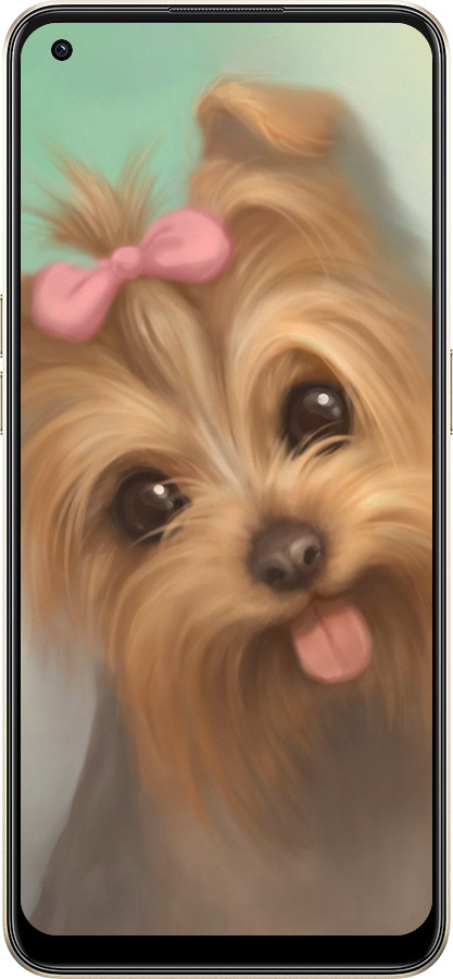 Силиконовый чехол Нарисованный йоркширский терьер для Oppo Reno8 5G - 928u-2614 изображение 