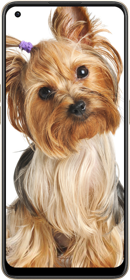 Силиконовый чехол Йоркширский терьер с хвостиком для Oppo Reno8 5G - 930u-2614 изображение 