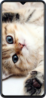 TPU чехол Котик для Oppo Reno Ace - 6024b-1964 изображение 