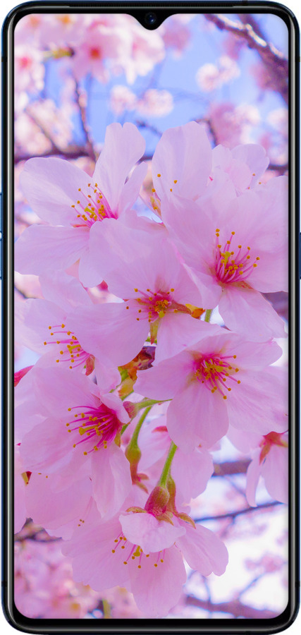 TPU чехол Сакура для Oppo Reno Ace - 6029b-1964 изображение 