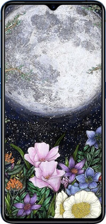 2D пластиковый чехол Полночь в саду II для Oppo Reno Ace - 6424t-1964 изображение 
