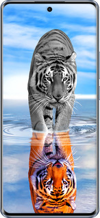 Силіконовий чехол Тигр для Oppo Reno10 - 6016u-3107 изображение 