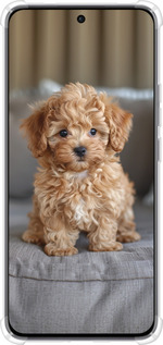 Силикон с усиленными углами чехол Mini-maltipoo для Oppo Reno12 5G - 6158sp-3742 изображение 