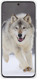 Силикон с усиленными углами чехол Бегущий волк для Oppo Reno12 5G - 826sp-3742 изображение 