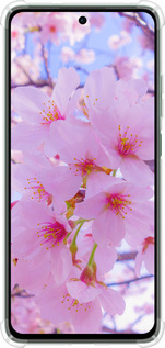 Силикон с усиленными углами чехол Сакура для Oppo Reno12 FS - 6029sp-3867 изображение 