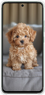Силикон с усиленными углами чехол Mini-maltipoo для Oppo Reno12 FS - 6158sp-3867 изображение 