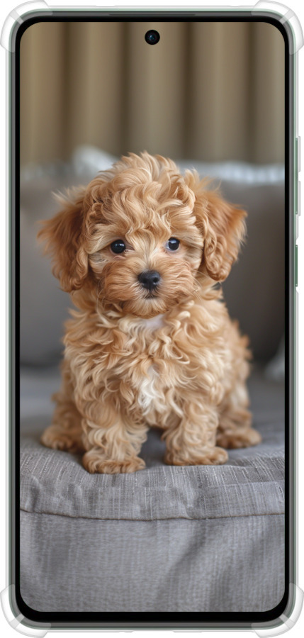 Силикон с усиленными углами чехол Mini-maltipoo для Oppo Reno12 FS - 6158sp-3867 изображение 