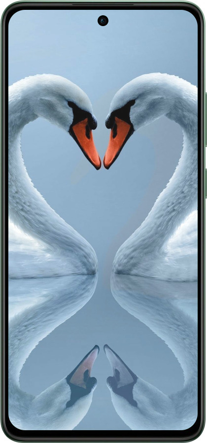 Силиконовый чехол Лебеди для Oppo Reno12 F 4G - 6007u-3847 изображение 