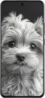 TPU чехол Мальтипу на чорном фоне для Oppo Reno12 Pro 5G - 6156b-3740 изображение 