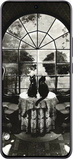 TPU чехол Череп и коты для Oppo Reno12 Pro 5G - 6432b-3740 изображение 