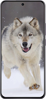 TPU чехол Бегущий волк для Oppo Reno12 Pro 5G - 826b-3740 изображение 