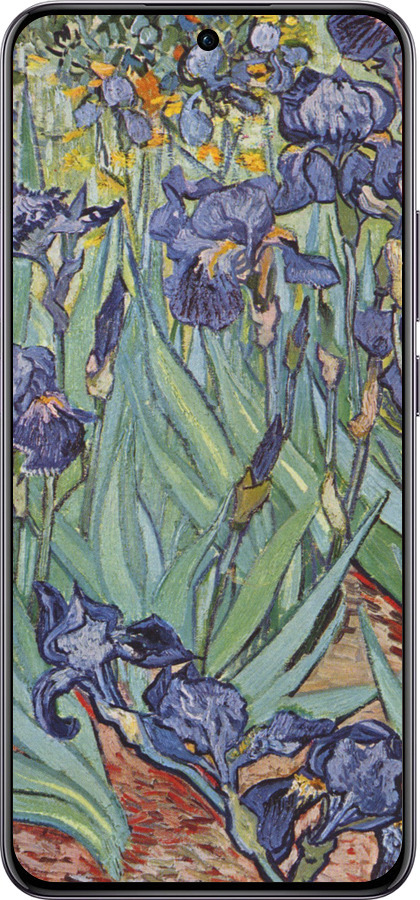 TPU чехол Винсент Ван Гог. Ирисы для Oppo Reno12 Pro 5G - 161b-3740 изображение 