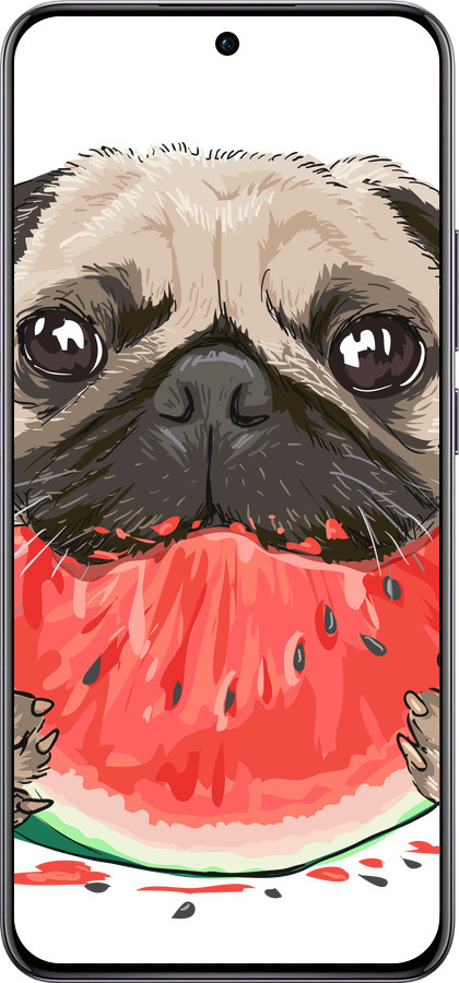 TPU чехол Мопс и арбуз для Oppo Reno12 Pro 5G - 4665b-3740 изображение 