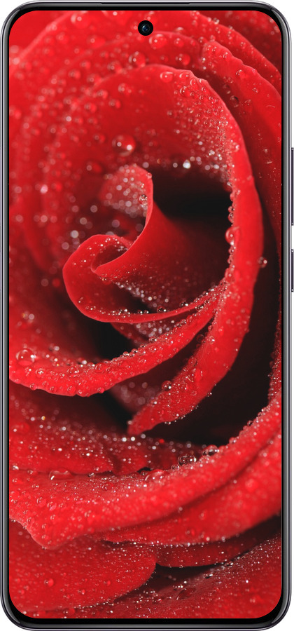 TPU чехол Красная роза для Oppo Reno12 Pro 5G - 529b-3740 изображение 