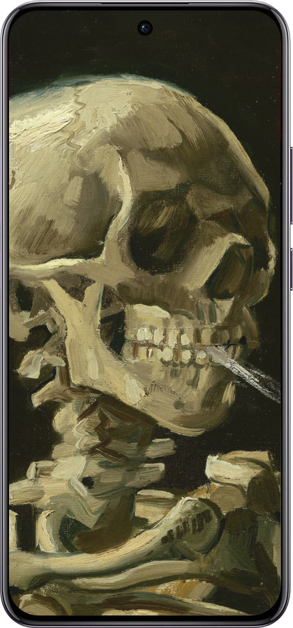 TPU чехол Винсент Ван Гог. Череп для Oppo Reno12 Pro 5G - 5544b-3740 изображение 