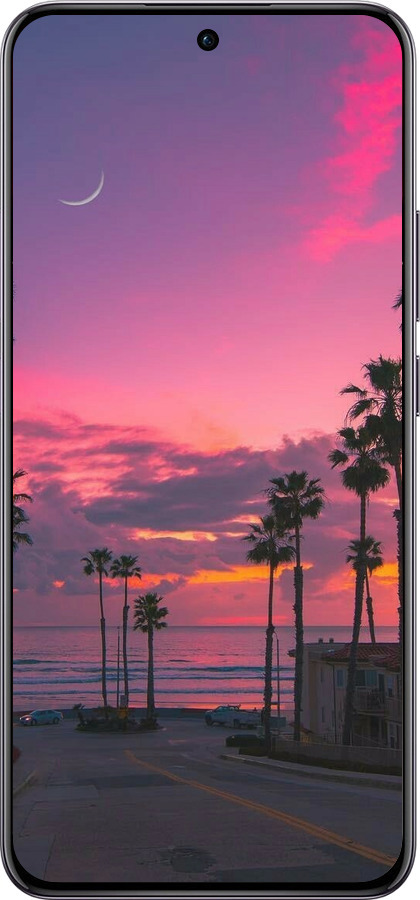 TPU чехол Пальмы для Oppo Reno12 Pro 5G - 5873b-3740 изображение 