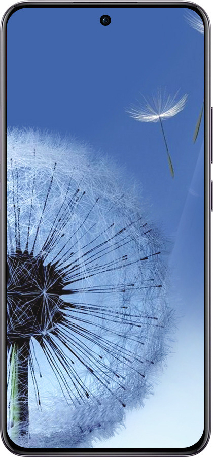 TPU чехол Одуванчик для Oppo Reno12 Pro 5G - 6005b-3740 изображение 