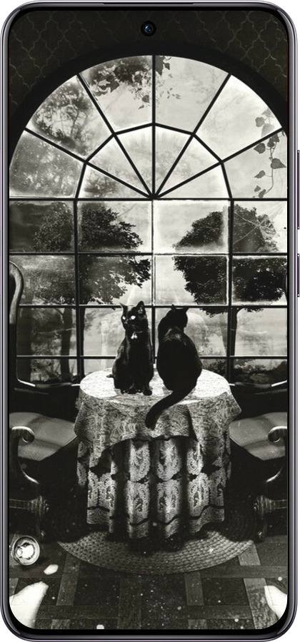 TPU чехол Череп и коты для Oppo Reno12 Pro 5G - 6432b-3740 изображение 