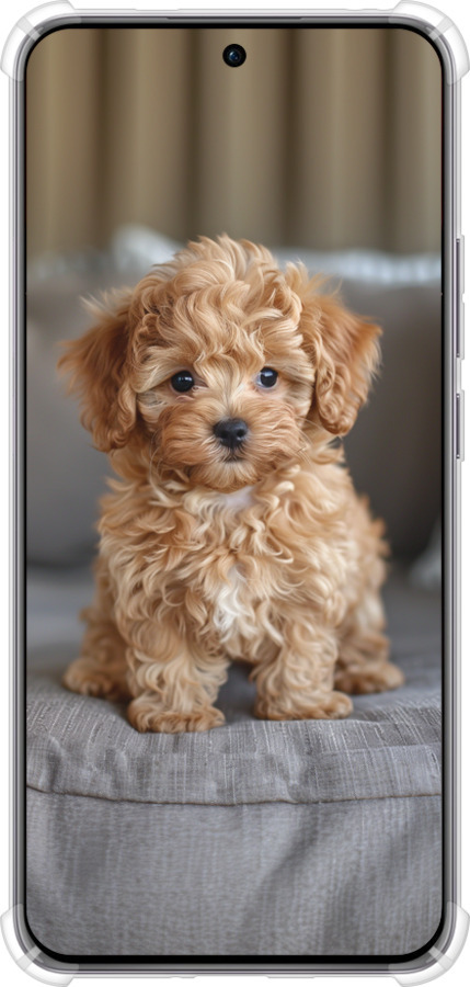 Силикон с усиленными углами чехол Mini-maltipoo для Oppo Reno12 Pro 5G - 6158sp-3740 изображение 