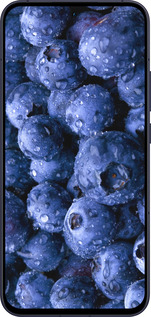 Силиконовый чехол Голубика для Oppo Reno13 5G - 4459u-3944 изображение 