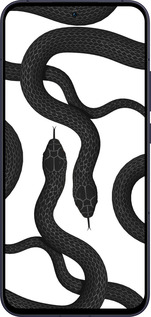 Силиконовый чехол Змеи для Oppo Reno13 5G - 5473u-3944 изображение 