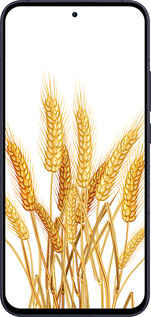 Силиконовый чехол Колоски пшеници для Oppo Reno13 5G - 5866u-3944 изображение 