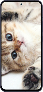 Силиконовый чехол Котик для Oppo Reno13 5G - 6024u-3944 изображение 