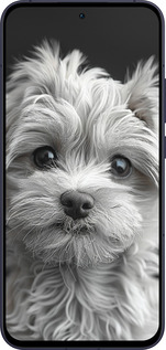 Силіконовий чехол Мальтипу на чорному фоні для Oppo Reno13 5G - 6156u-3944 изображение 