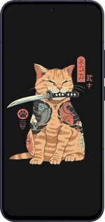 Силиконовый чехол Catana для Oppo Reno13 5G - 6262u-3944 изображение 